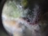 20180916_011124.jpg