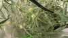 20180916_134943.jpg