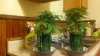 20180917_222238.jpg