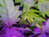 20180920_081849.jpg
