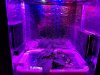 20180920_085330.jpg