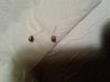 20180921_080716.jpg