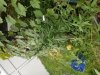 20180801_112131.jpg