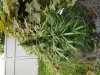 20180819_103435.jpg