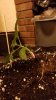 IMG_20180927_193656.jpg