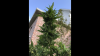 64330D30-3696-4F3D-B75F-A0771250C649.png