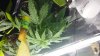 20181004_215248.jpg