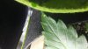 20181004_215235.jpg