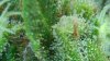 D880DC34-8E3B-460D-A9BB-BBE37BB5F428.jpeg
