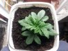 20130217_160732.jpg