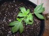 100_9641.jpg