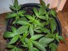 100_9645.jpg