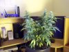 100_2182.jpg