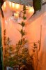 DSC_3986.jpg
