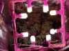 100_0300.jpg