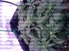 20181011_125734.jpg