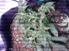 20181011_125731.jpg