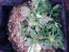 20181011_125723.jpg