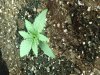 IMG_20181015_190725351.jpg