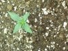 IMG_20181015_190710144.jpg