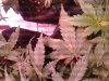 20181023_073440.jpg