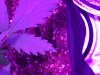 84B180B8-2167-4372-8EAC-FD440B85BC69.jpeg