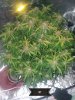 20181026_205119.jpg