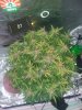 20181026_204910.jpg