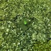 20181029_093351.jpg