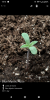 Screenshot_20181031-141524.png