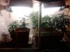20130219_190355.jpg 20130219_190355.jpg