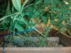 20130219_190214.jpg 20130219_190214.jpg
