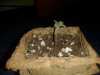 20130219_190542.jpg 20130219_190542.jpg