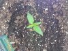 20130223_085808.jpg