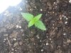 20130223_085816.jpg