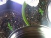 20130223_085827.jpg