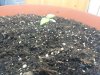 20130223_140921.jpg