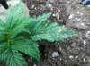 2013-02-23_16-47-44_765.jpg