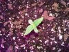 20130205_071709.jpg