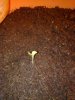 23022013506.jpg 23022013506.jpg