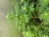 20181102_044702.jpg