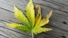 20181108_101234.jpg