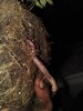 IMG_20181108_1443006.jpg