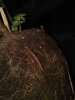 IMG_20181108_1442156.jpg
