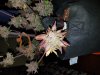 20181109_212421.jpg
