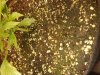 20181109_225103.jpg