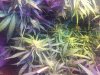 2D112726-1760-451D-9C7B-BD61CFEED0A4.jpeg
