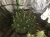 20181120_064614.jpg