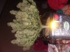 20181119_020623.jpg