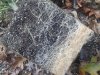 20181120_160325.jpg